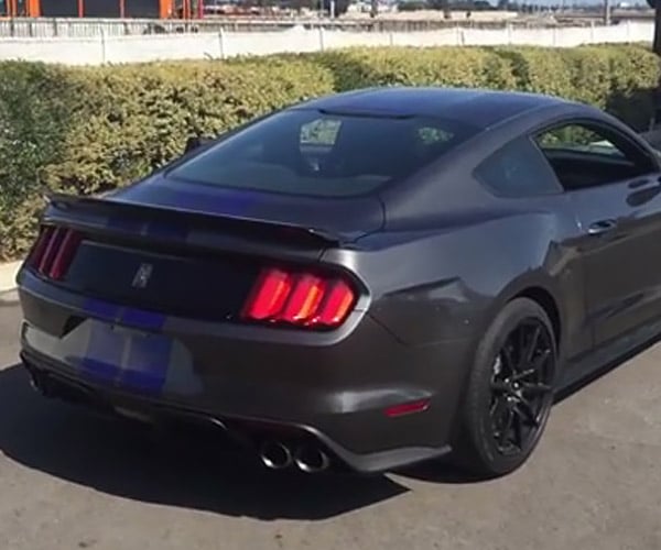 Behold the Glorious Sound of the 2015 Shelby GT350