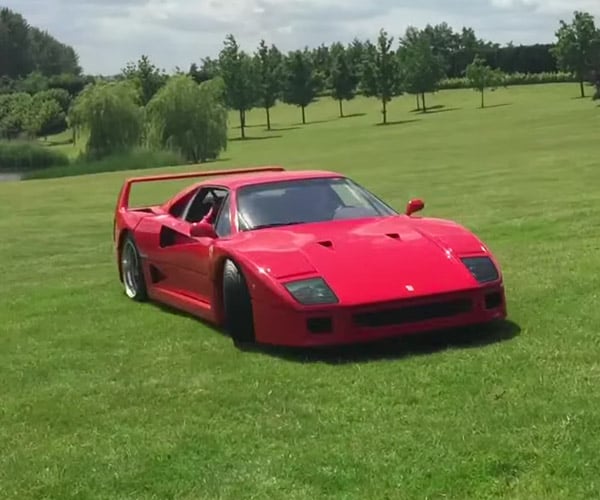 Teen Drifts Classic Ferraris in a Field