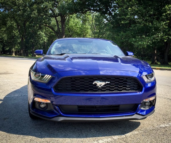2015_ford_mustang_ecoboost_blue_manual_4
