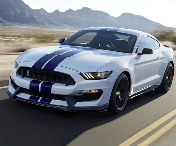 Shelby GT350 and GT350R Sales Paused over Oil Cooler Issue
