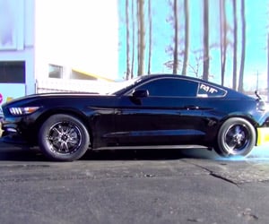 2015 Mustang EcoBoost 4 Does 1/4-Mile in the 11s