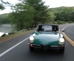 Get Green with Envy of this Alfa Male