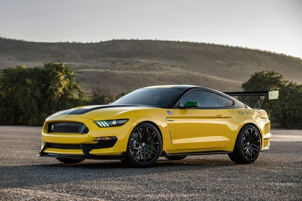 ole-yeller-shelby-gt350_3