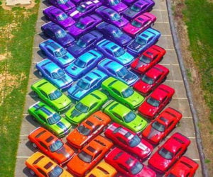 A Rainbow of Dodge Challengers