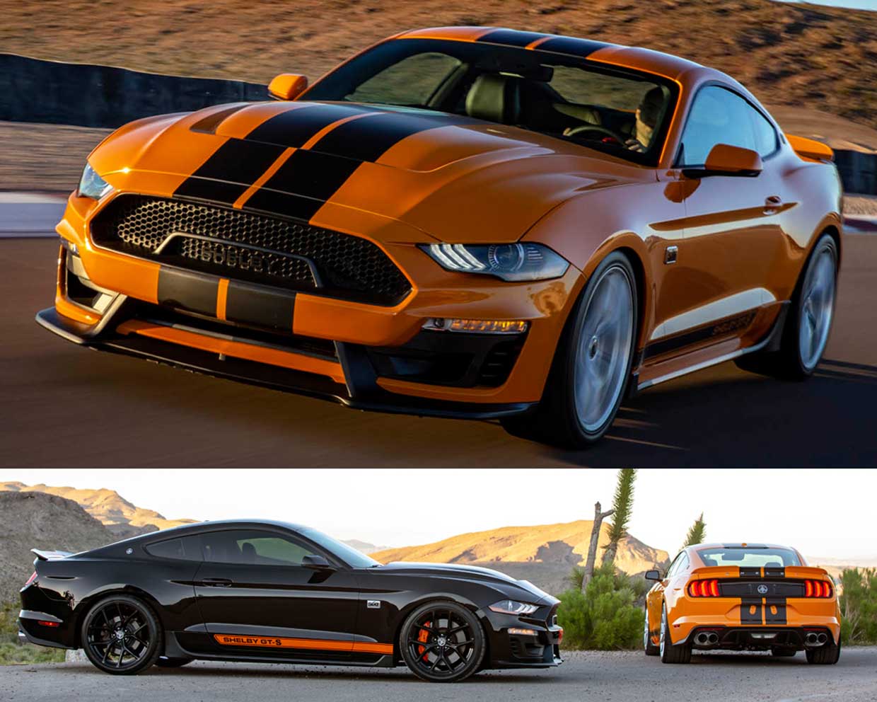 Rental Car Company Has 600hp Shelby Mustangs in Their Fleet