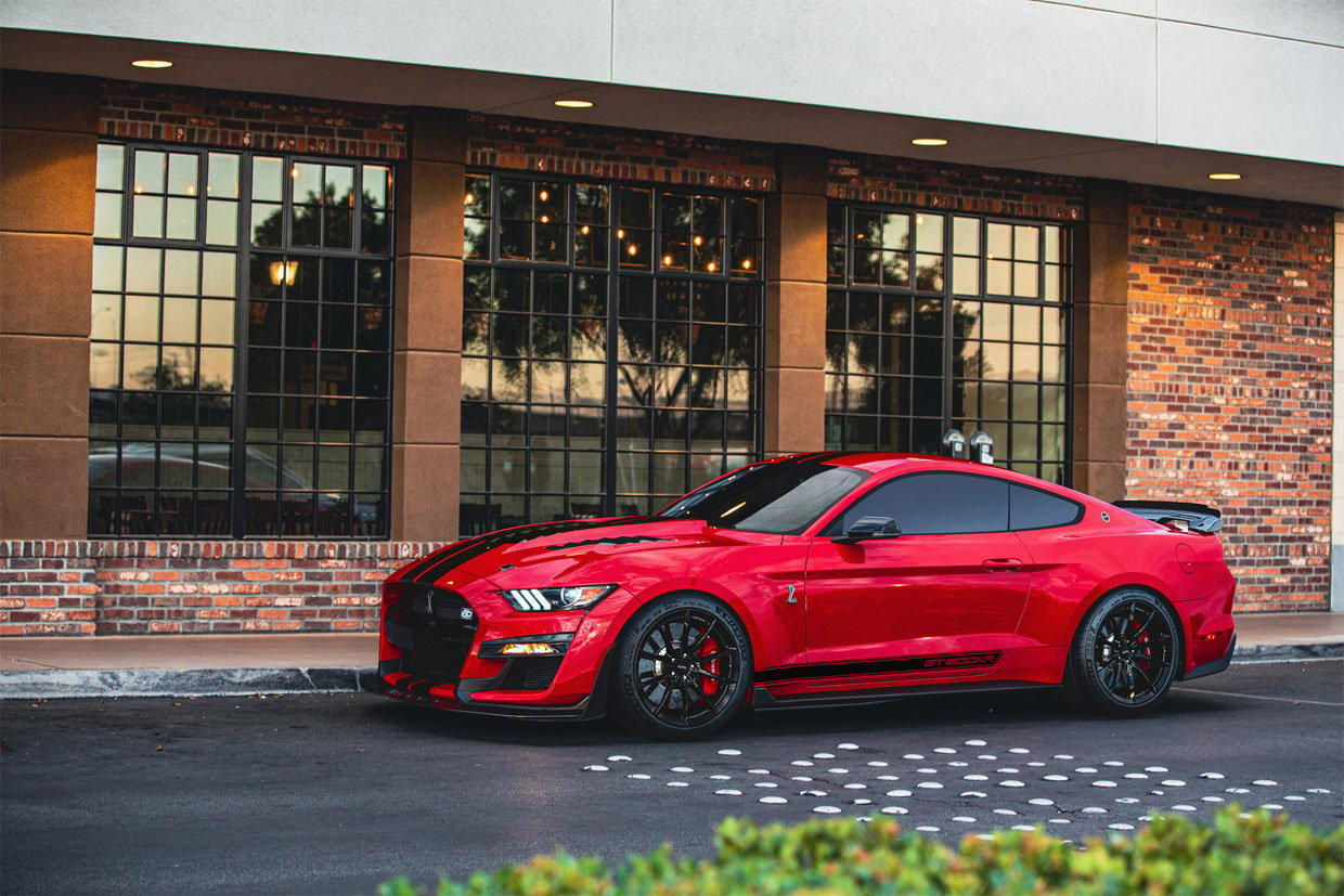 Shelby American GT500KR May Cost You Less Than a Factory GT500