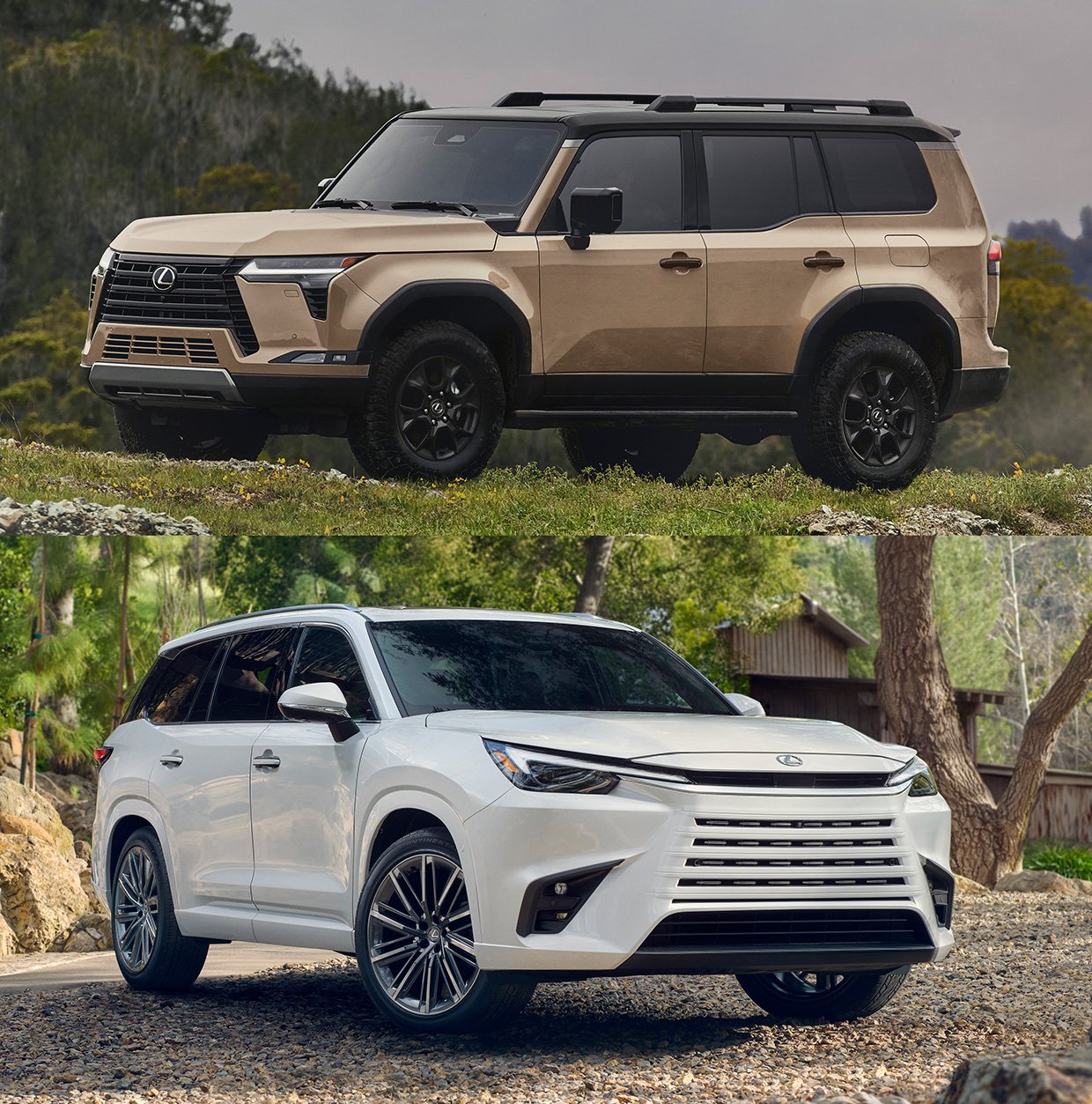 2024 Lexus GX and TX Revealed at Lexus DoubleFeature